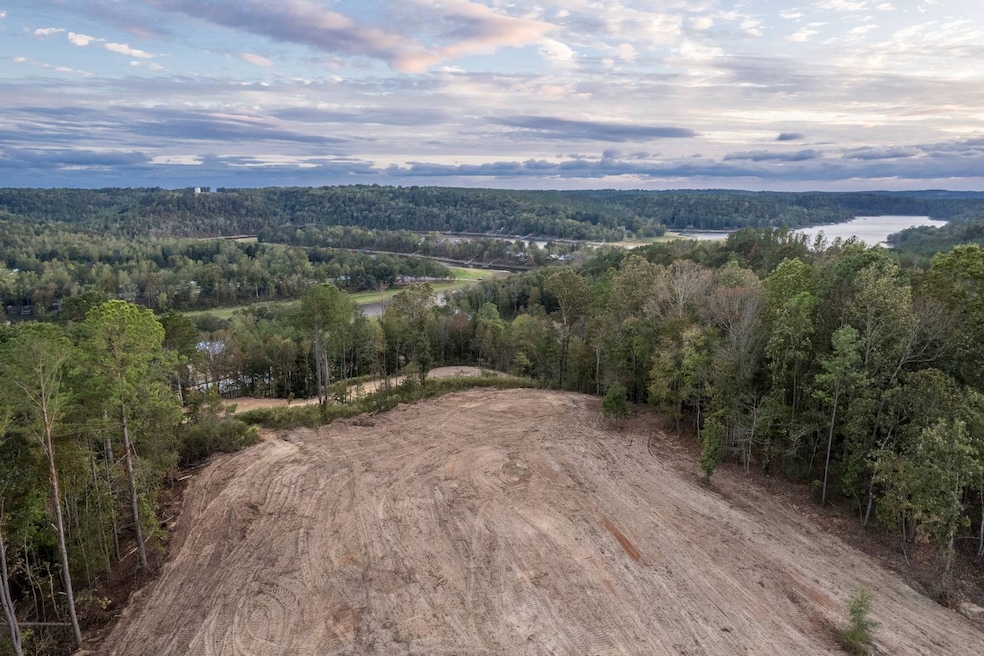 1190 County Road 950, Crane Hill, AL 35053 - photo 1