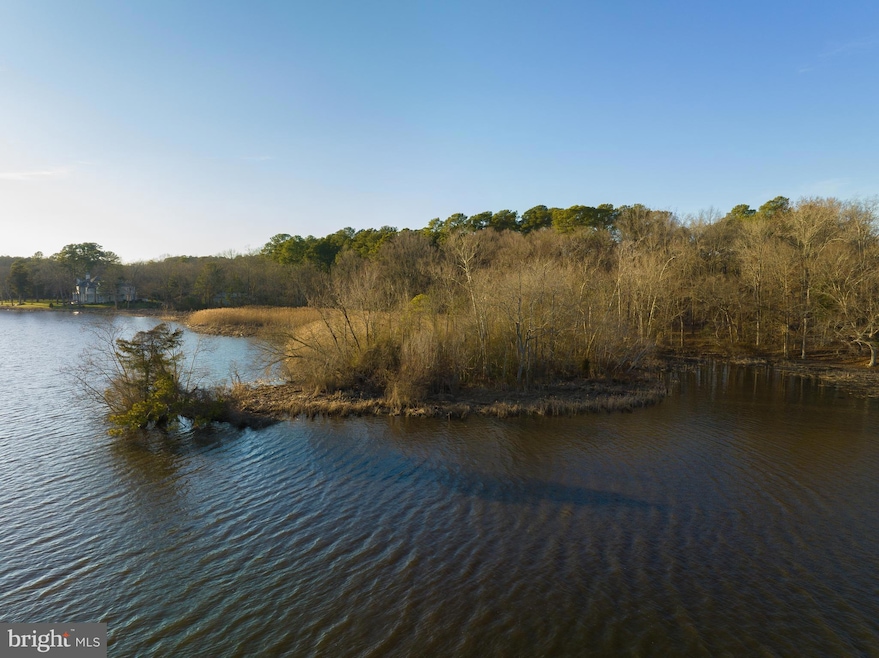 1410 Bell Island Trail, Salisbury, MD 21801 - photo 1