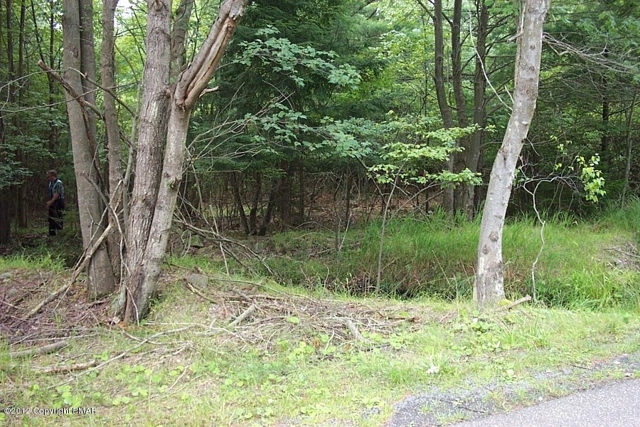 85 Woodland Ave, Pocono Pines, PA 18350 - photo 1