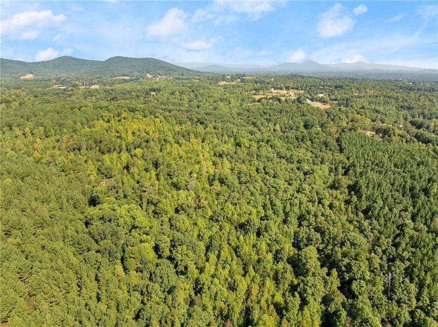 0 Oliver Mill Rd unit 7463028, Lula, GA 30554 - photo 1