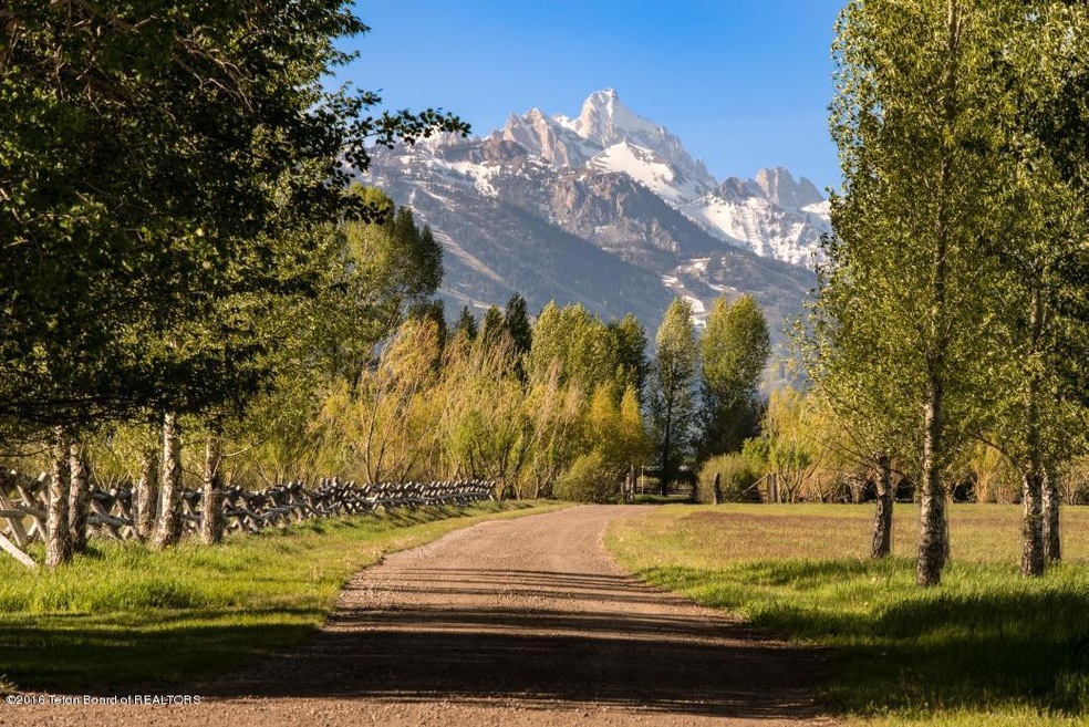 Grand Teton Views