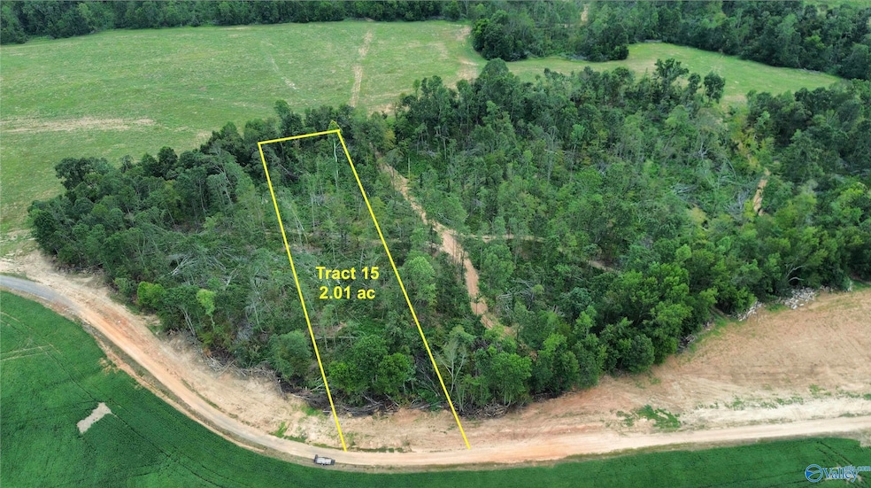 21394 Holland Rd, Athens, AL 35614 - photo 1