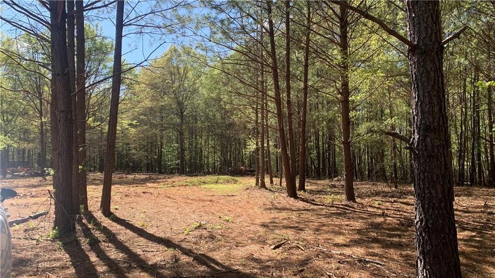 View of nature