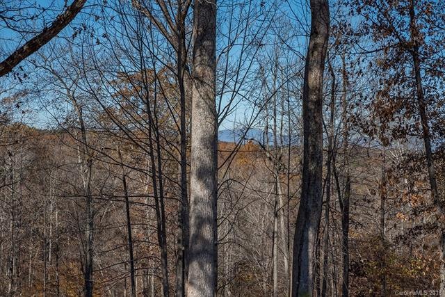 11+ acres of land in Green Creek. Nice mountain vi