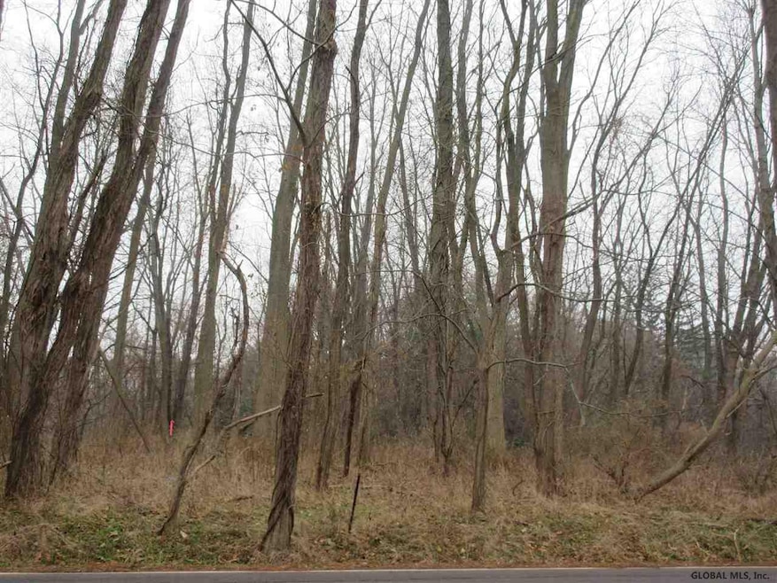00 Font Grove Rd, Slingerlands, NY 12159 - photo 1