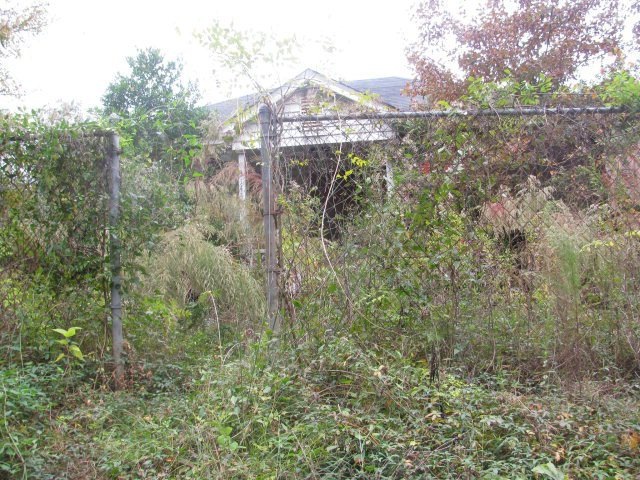 Primary Photo