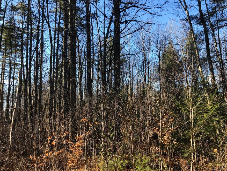 00 Intervale Dr, Fryeburg, ME 04037 - photo 1