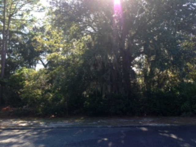 2021 Sea Palms West Drive (Lot 11) unit Lot11, St. Simons Island, GA 31522 - photo 1