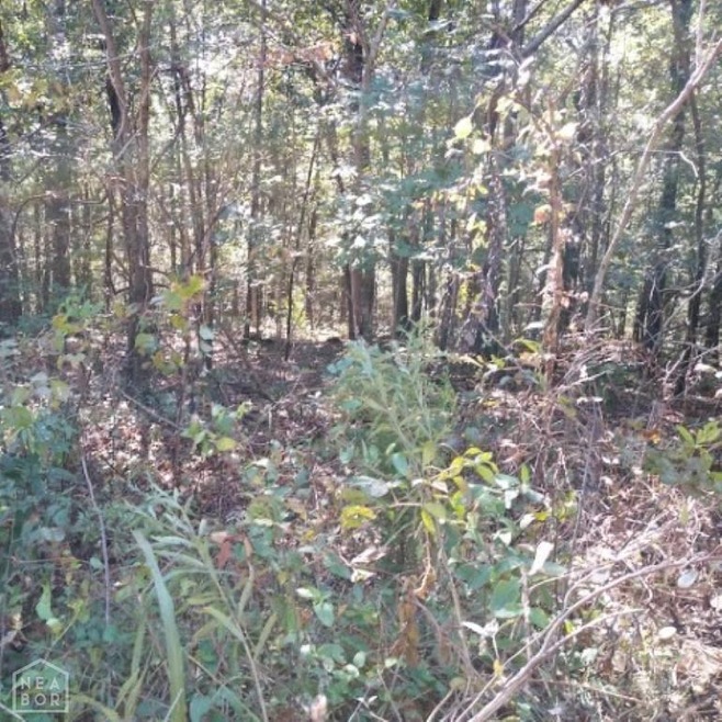 0 County Road 797, Powell Township, AR 72417 - photo 1