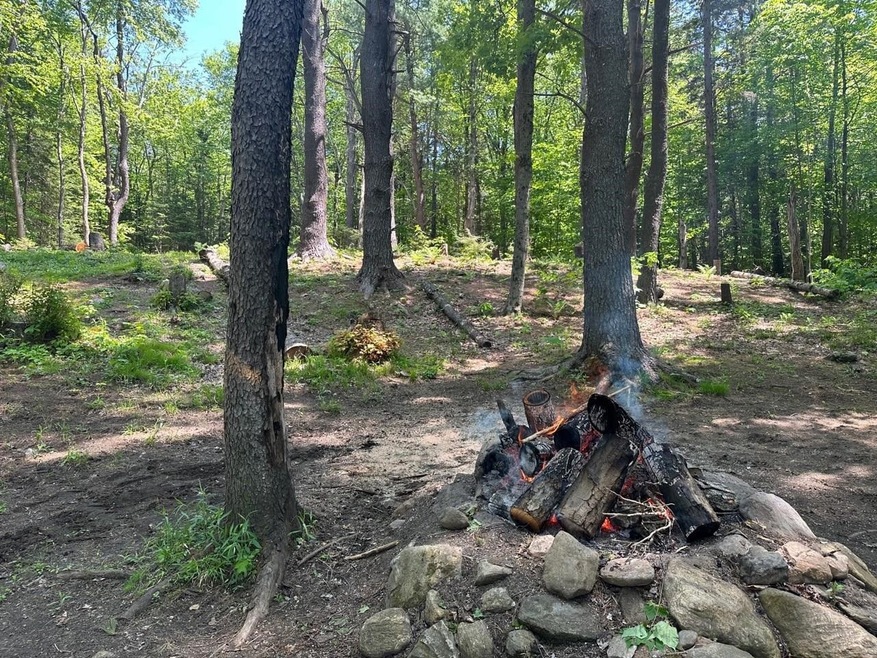 232 Deer Hill Rd, Whitingham, VT 05361 - photo 1