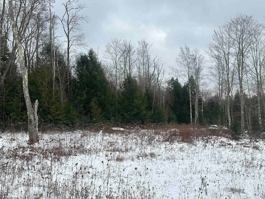 Lot 85 Gondola Ct, Davis, WV 26260 - photo 1