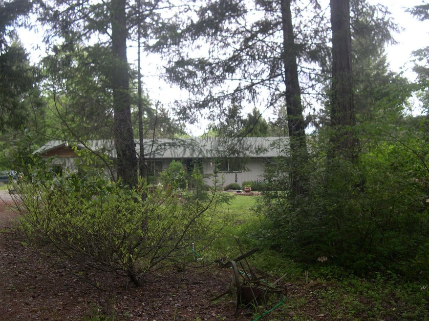 Primary Photo