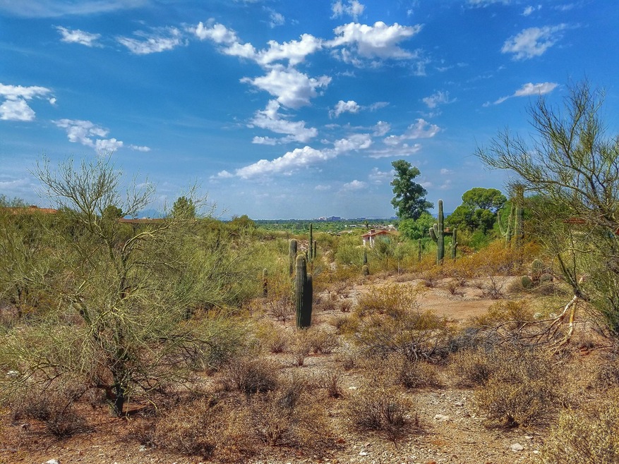 Camino del Santo 1