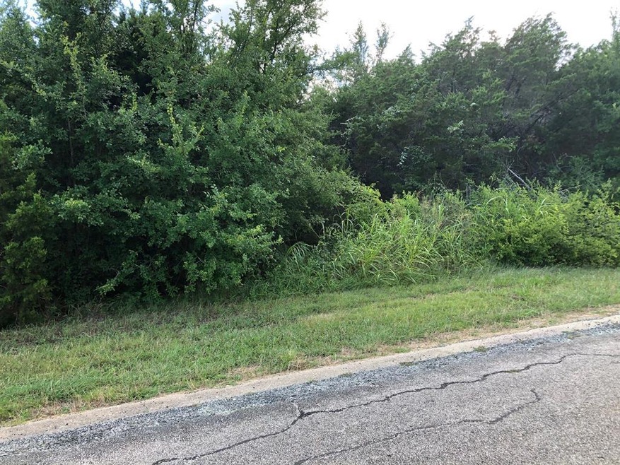 38010 Cedar Trail, Whitney, TX 76692 - photo 1