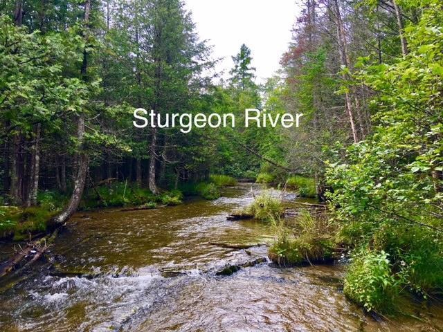 Myrtle Ln. Sturgeon River