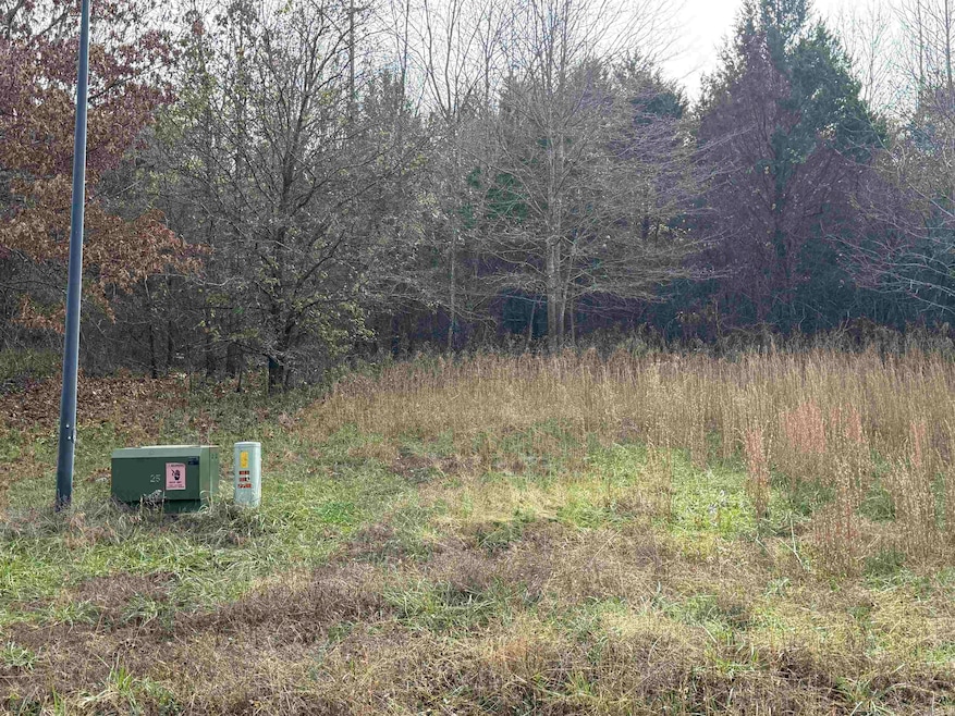 Tract 50 Rainbow Lake Rd, Austin, AR 72007 - photo 1