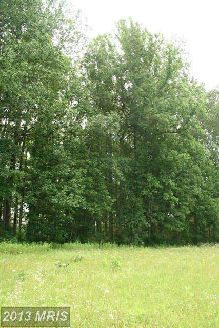 0 Edgar Rd unit 1003702270, Caroline, VA 22546 - photo 1