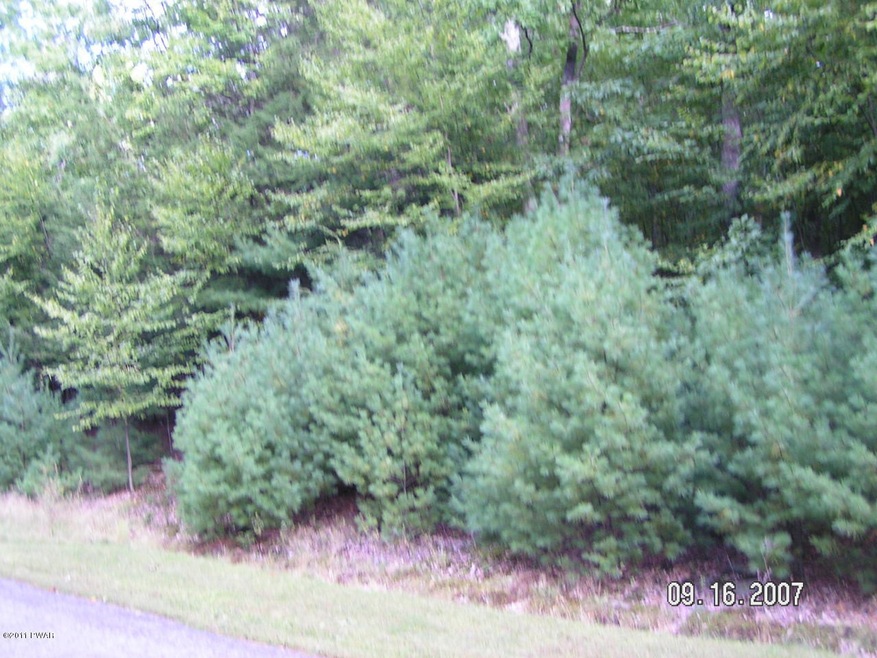 0 Aster Ln, Dingman Township, PA 18337 - photo 1