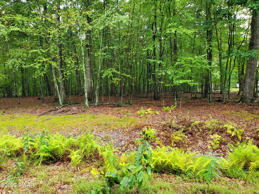 157 Apple Dr, Milford, PA Selec - photo 1