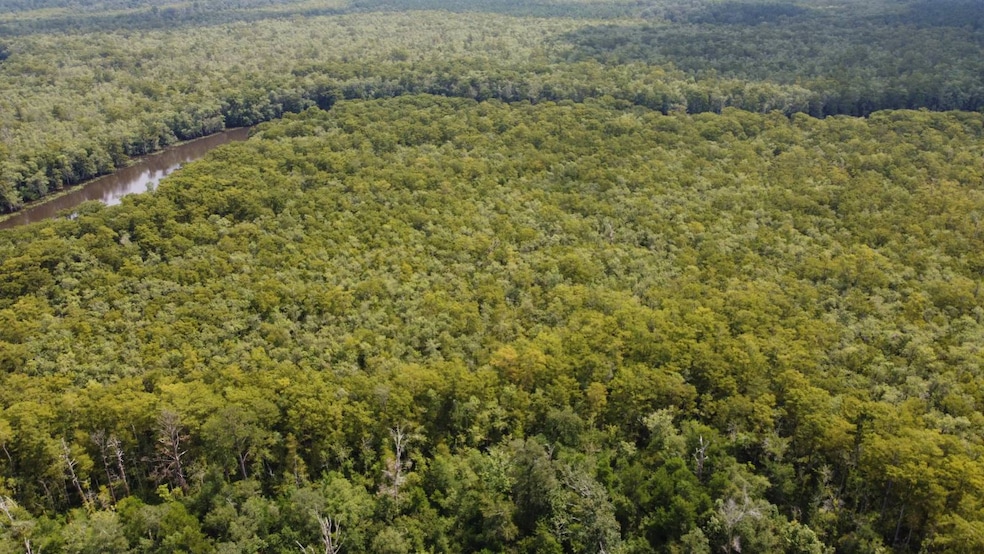 TBD Gunboat Landing Rd, Maurepas, LA 70449 - photo 1