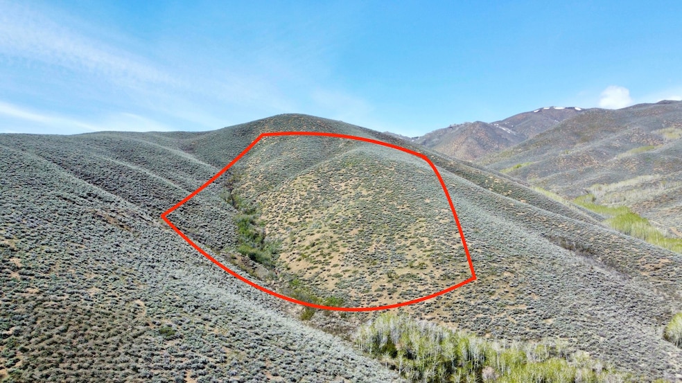 TBD Lees Gulch Rd, Bellevue, ID 83313 - photo 1