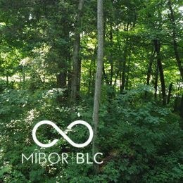 0 E County Road 800 N, Milan, IN 47031 - photo 1