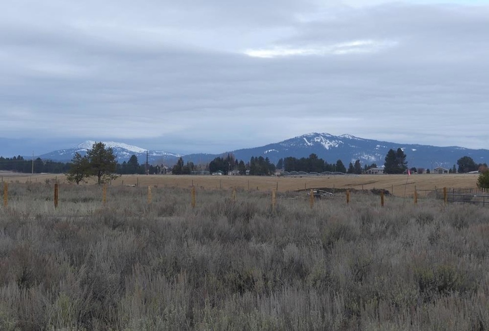 173 Brookdale Dr unit 60, McCall, ID 83638 - photo 1