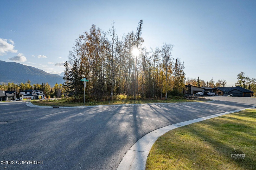 4-web-or-mls-Kinship Ln Lot Photos-3