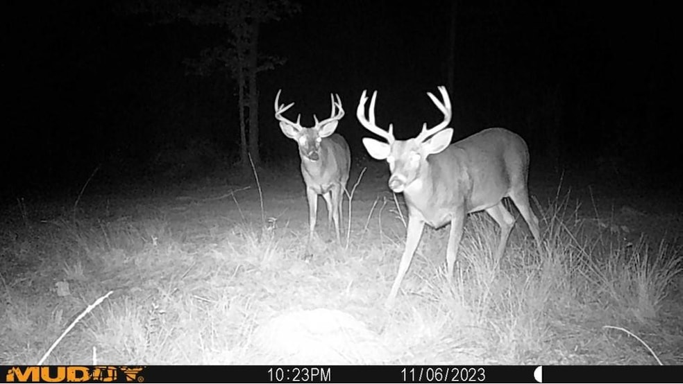 . Mcmillan Rd, Osyka, MS 39657 - photo 1