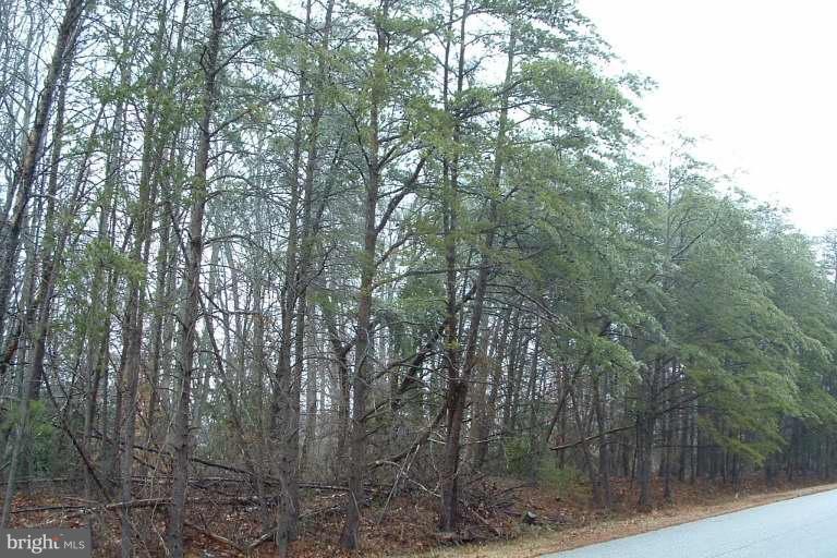 29161 Hearts Desire Dr, Mechanicsville, MD 20659 - photo 1