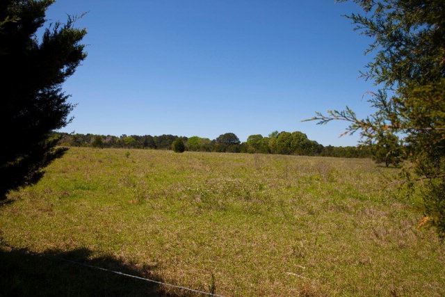 Main View