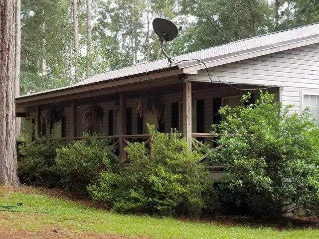 Main View
