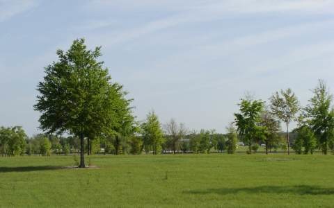 LOT33 Mandiba Dr, Lake City, FL 32024 - photo 1