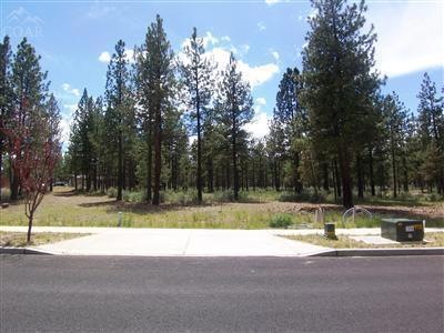 Primary Photo
