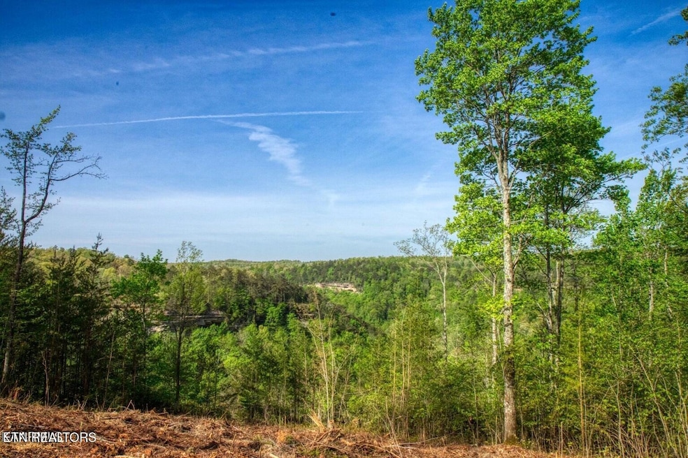 Bluff Views