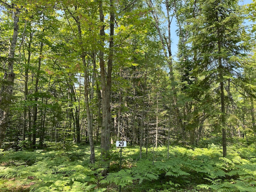 Lot 29 Third Creek Subdivision unit Lot 29, Paradise, MI 49768 - photo 1
