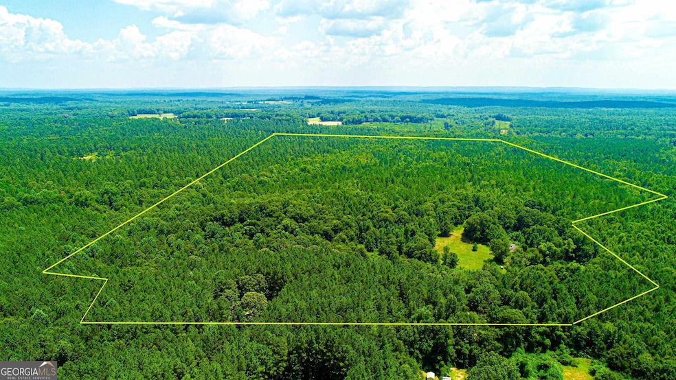 4444 Lagrange Hwy, Greenville, GA 30222 - photo 1