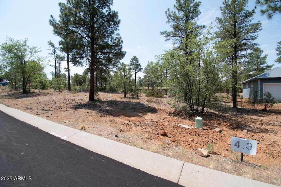 381 E Huckleberry Ln unit 4, Show Low, AZ 85901 - photo 1