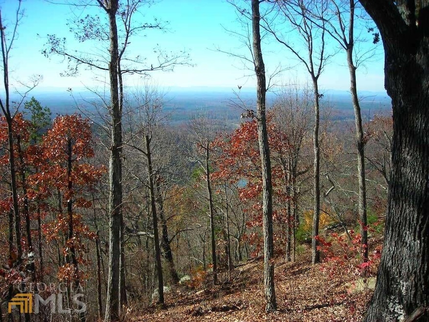 1130 Panda Dr, Ranger, GA 30734 - photo 1