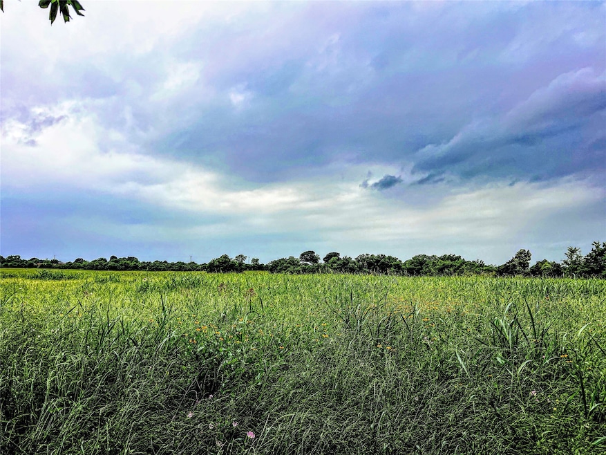 004 Schroeder Rd, Brenham, TX 77833 - photo 1