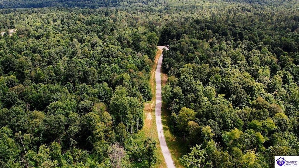 Tract 13 Cook Ln, Cromwell, KY 42333 - photo 1