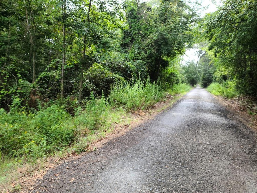 Lot 3 County Road 702, Nacogdoches, TX 75964 - photo 1
