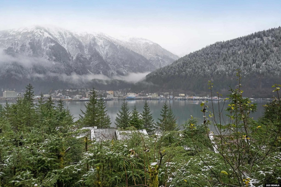 2509 David St, Juneau, AK 99801 - photo 1