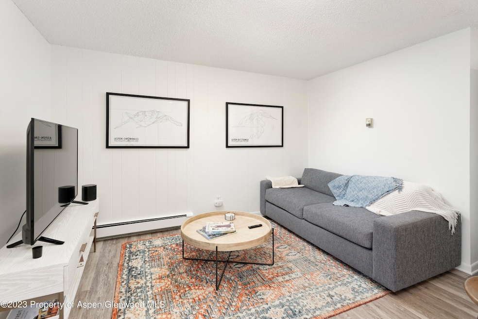 424 Park Cir unit B, Aspen, CO 81611 - photo 1