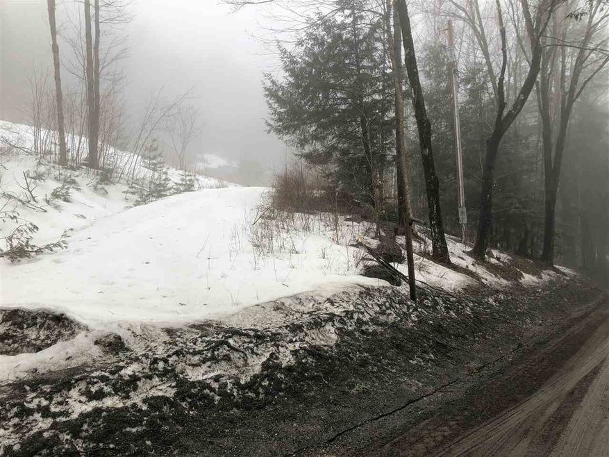 590 Holbrook Rd, Whitingham, VT 05342 - photo 1