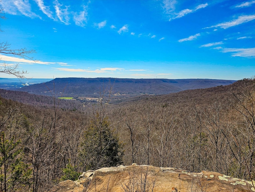 0 Raulston Falls Rd unit RTC3049508, Jasper, TN 37347 - photo 1