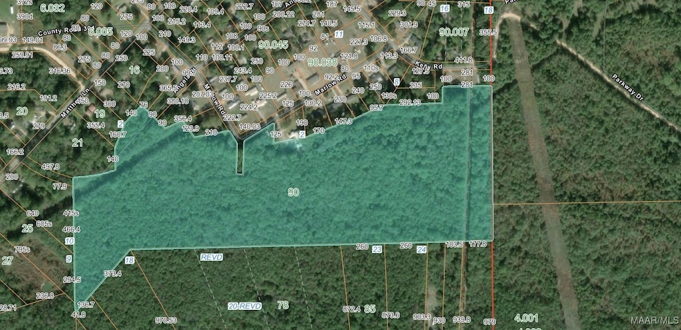 0 Marlow Rd, Selma, AL 36703 - photo 1