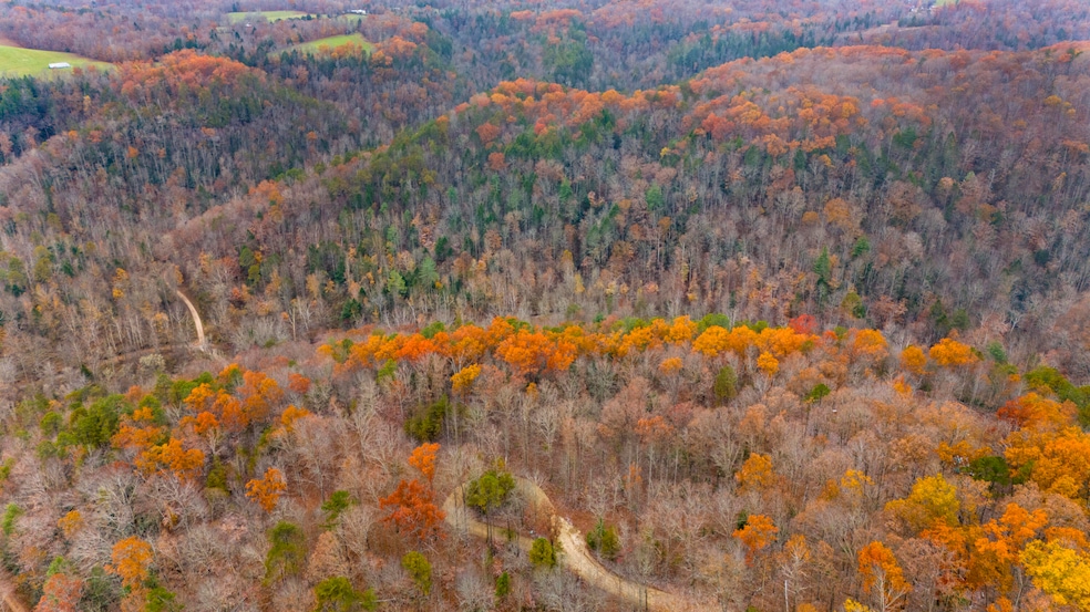 DJI_20251110133351_0006_D