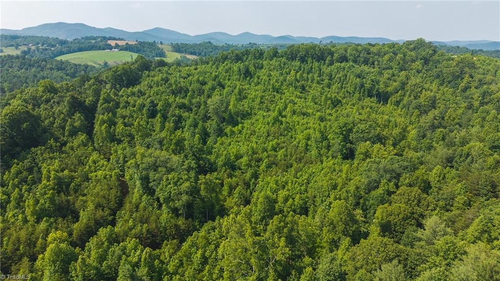 000 Old Vashti Rd unit 2, Taylorsville, NC 28681 - photo 1