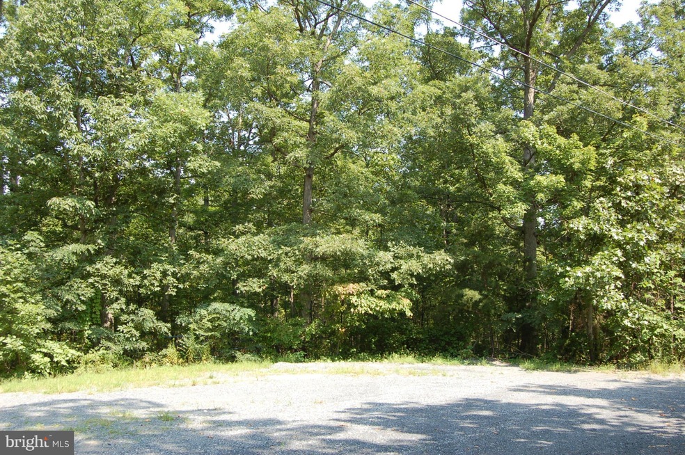 0 Lower View Rd unit 1000404865, Strasburg, VA 22657 - photo 1